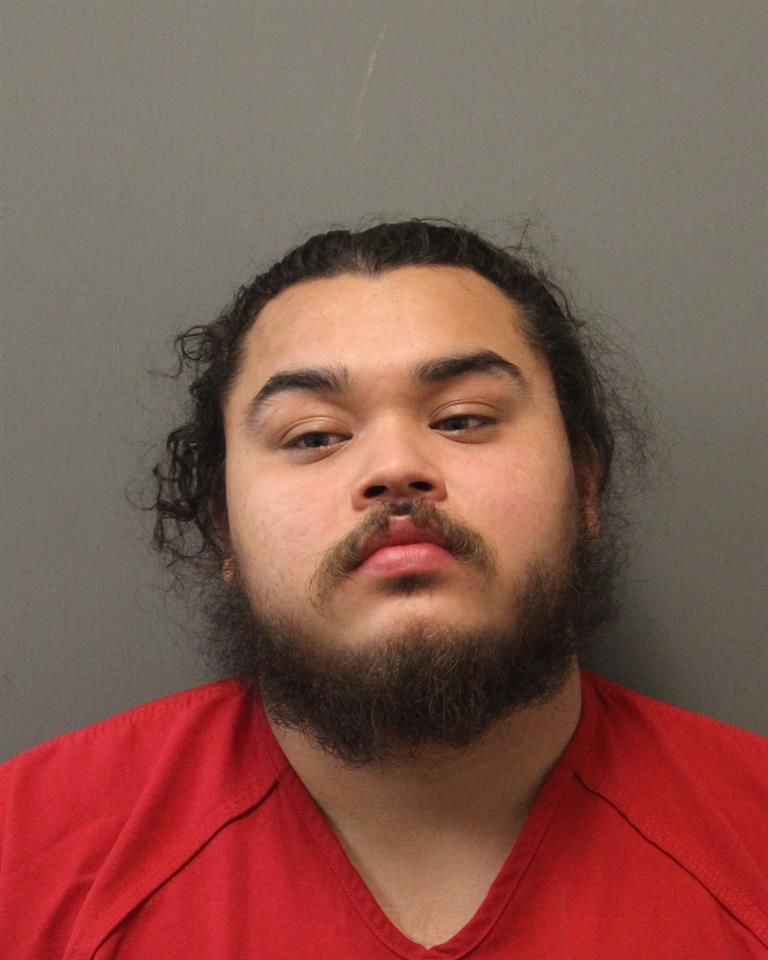 Derlin Carcamo Alvarez mugshot